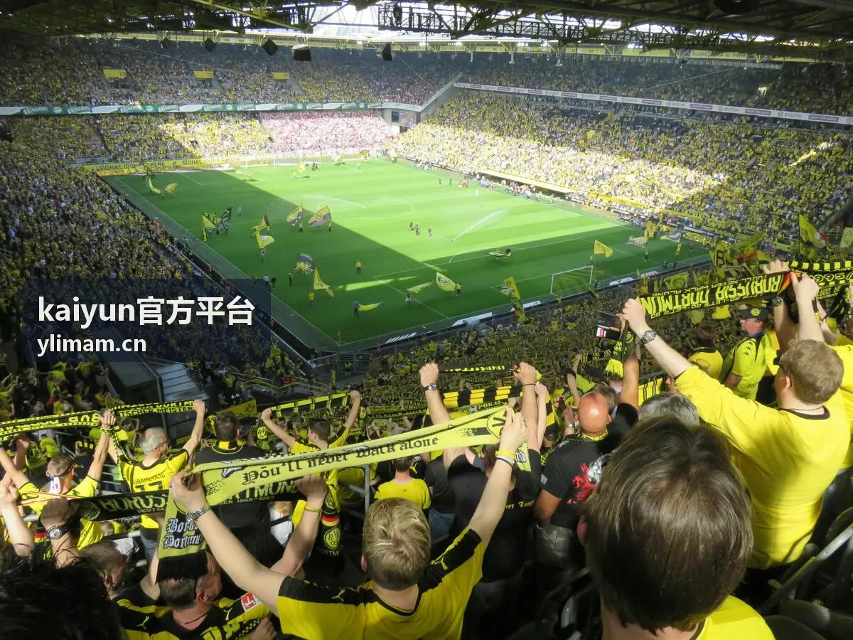 kaiyun官方平台界面与云端画面