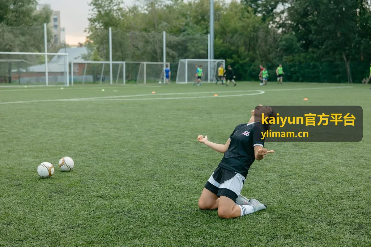 kaiyun官方平台设置与帮助界面截图