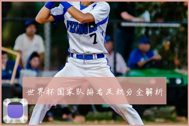 世界杯国家队排名及积分全解析