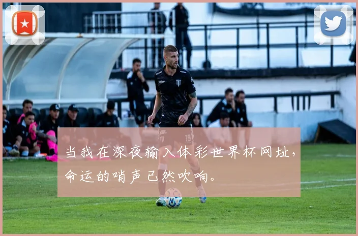 当我在深夜输入体彩世界杯网址，命运的哨声已然吹响。