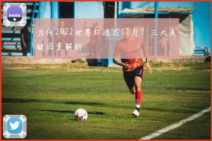 为何2022世界杯选在11月?三大关键因素解析