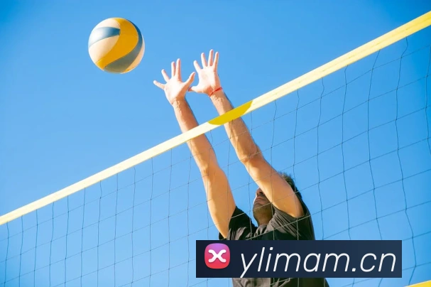 多媒体互动体验